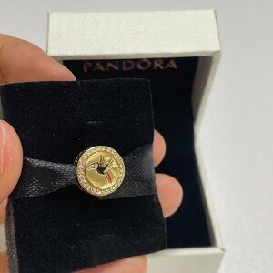 Pandora Belize Charm Bead Charm